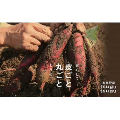 さつまいも おやつ 野菜　ねっとり甘〜い おいもさん(紅はるか) 2.5kg [007023]