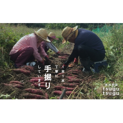 【先行予約】 さつまいも おやつ 野菜 ねっとり甘~い おいもさん(紅はるか) 2.5kg