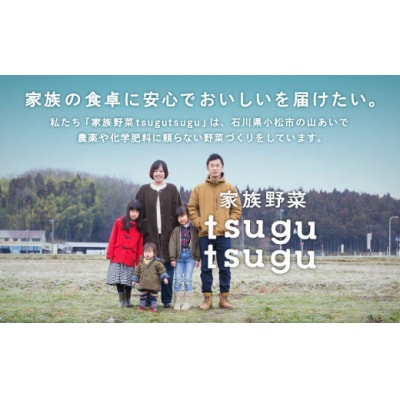 さつまいも ねっとり甘〜い おいもさん (紅はるか)サツマイモ 5kg [015027]