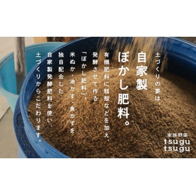 さつまいも ねっとり甘〜い おいもさん (紅はるか)サツマイモ 5kg [015027]