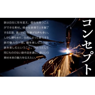 TAMAPAN 鉄 フライパン 卵焼き用 調理器具