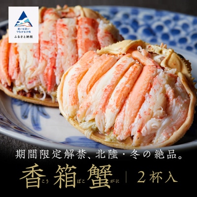 「香箱ガニ」 2杯セット 石川冬の味 かに 蟹 せこがに | 石川県 小松市 【魚たじま】
