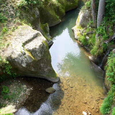 げんき米 コシヒカリ 玄米 20kg お米 石川県産 小松市産【エコファーム北陸】