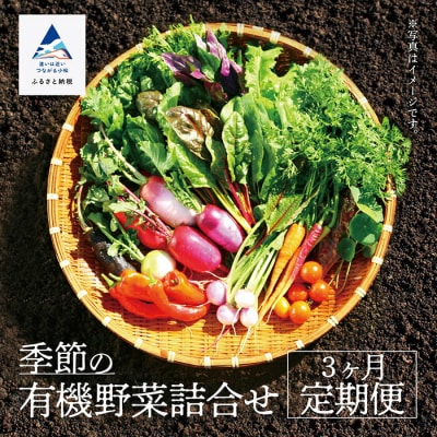 季節の野菜詰合せ 3ヶ月定期便 やさい(約1箱 40cm×30cm×20cm目安)【西田農園】