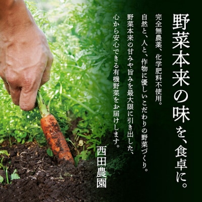 季節の野菜詰合せ 3ヶ月定期便 やさい(約1箱 40cm×30cm×20cm目安)【西田農園】