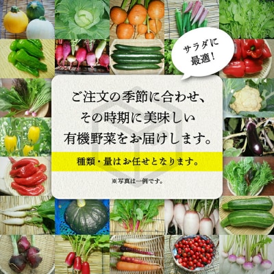 季節の野菜詰合せ 3ヶ月定期便 やさい(約1箱 40cm×30cm×20cm目安)【西田農園】
