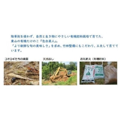 【今春先行予約】有機JAS認証  白子たけのこ 「色白美人」 3.5kg