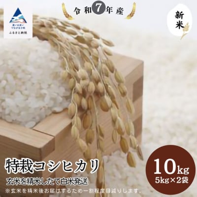 特栽コシヒカリ 精米(玄米10kgを精米したて白米発送)令和7年産 新米 こしひかり【のむら農産】
