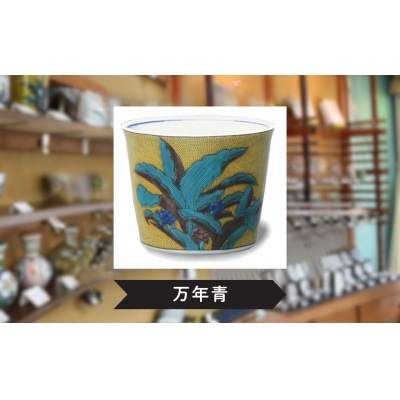 【かわいい九谷焼】 フリーカップ (そば猪口) (絵柄:万年青)【打田平太郎商店】