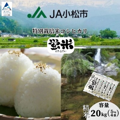 【先行予約】 令和8年産 「 特別栽培米コシヒカリ 」 精米 蛍米 20㎏(5kg×4袋)