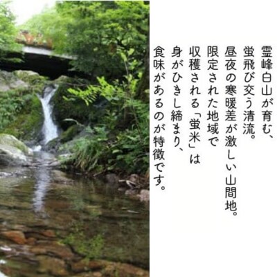 【先行予約】 令和8年産 「 特別栽培米コシヒカリ 」 精米 蛍米 20㎏(5kg×4袋)