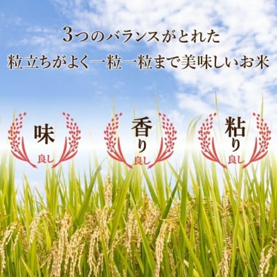 【先行予約】【定期便】 令和8年産 小松市産 こしひかり 精米 5kg×6ヶ月(毎月)