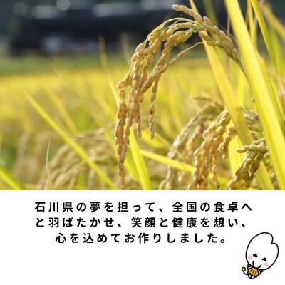 【先行予約】【定期便】 令和8年産 小松市産 ゆめみづほ 精米 5kg×6ヶ月(毎月)