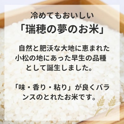 【先行予約】【定期便】 令和8年産 小松市産 ゆめみづほ 精米 5kg×12ヶ月(毎月)