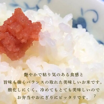 令和7年産 こしひかりカルゲン米 5kg | 石川県 小松市 坂口農園