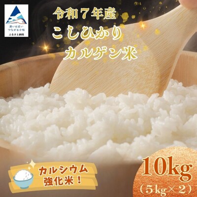 令和7年産 こしひかりカルゲン米 10kg(5kg×2) | 石川県 小松市 坂口農園