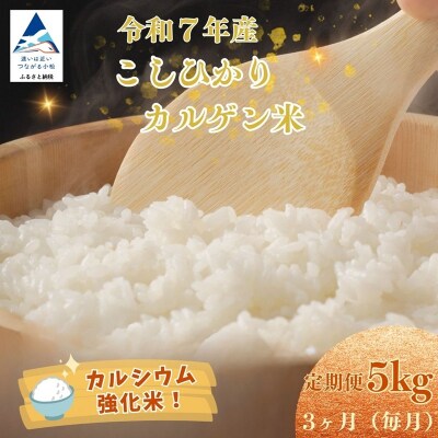 【定期便】令和7年産 こしひかりカルゲン米 5kg×3ヶ月(毎月) | 石川県 小松市 坂口農園