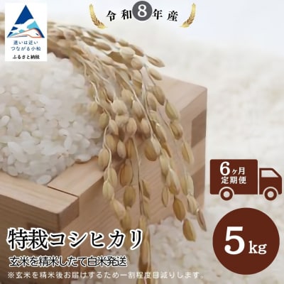 【6ヶ月定期便】特栽コシヒカリ 精米 白米 (玄米5kgを精米したて白米発送)令和8年産 のむら農産