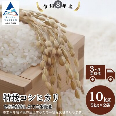 【3ヶ月定期便】特栽コシヒカリ 精米 白米 玄米10kgを精米したて白米発送 令和8年産 のむら農産
