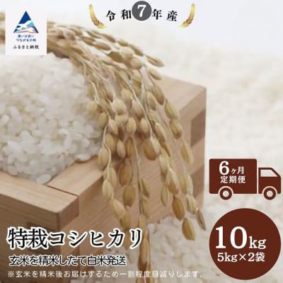 【6ヶ月定期便】特栽コシヒカリ 精米 白米 (玄米10kgを精米したて白米発送) 令和7年産