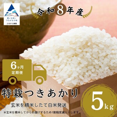 【6ヶ月定期便】特栽つきあかり 精米 白米 玄米5kgを精米したて白米発送 令和8年度産 のむら農産