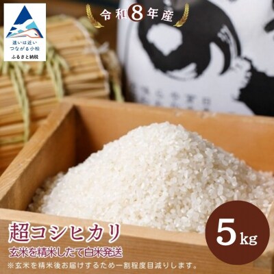 超コシヒカリ精米 白米(玄米5kgを精米したて白米発送) 令和8年産 こしひかり のむら農産