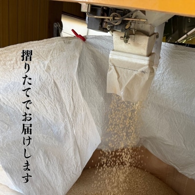 令和7年産 コシヒカリ 精米 2kg 石川県 小松市 こしひかり お米 白米【元田農産】