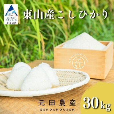 【先行予約】令和8年産 コシヒカリ 精米 30kg 石川県 小松市 こしひかり お米 白米 元田農産