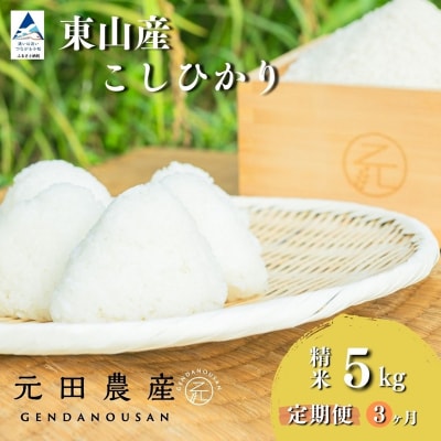 【定期便】令和7年産 コシヒカリ 精米5kg×3ヶ月(毎月) お米 白米 こしひかり 【元田農産】