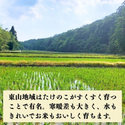 【先行予約】【定期便】令和8年産 コシヒカリ 精米5kg×3ヶ月 お米 白米 こしひかり 元田農産