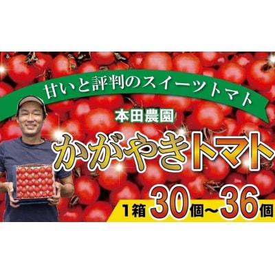 かがやきトマト 1箱(約30~36個) スイーツトマト 本田農園