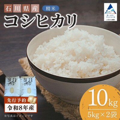 【先行予約】令和8年産 石川県産コシヒカリ 精米 10kg(5kg×2袋) 白米 こしひかり
