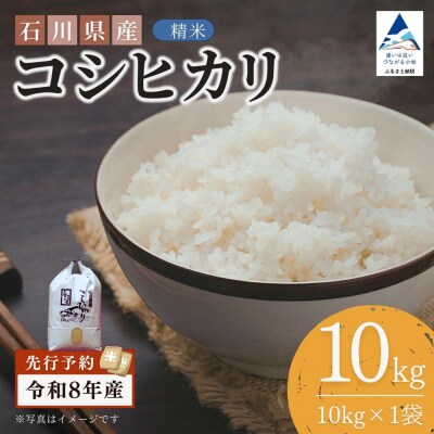 令和8年産 石川県産コシヒカリ 精米 10kg(10kg×1袋) 白米 こしひかり
