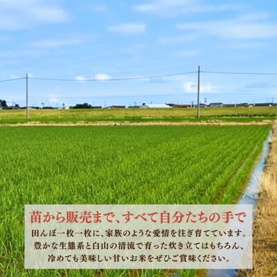 【先行予約】【6ヶ月定期便】令和8年産 石川県産コシヒカリ 精米 計20kg(10kg×2袋)×6回