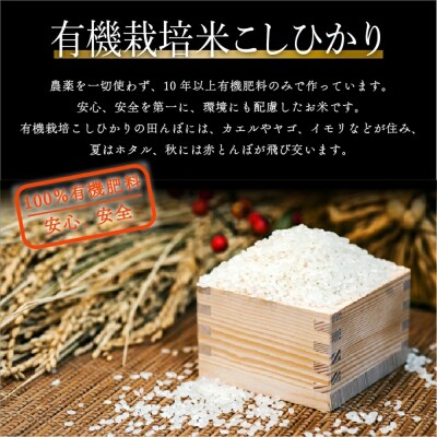 【有機JAS認定】有機栽培米 こしひかり10kg(5kg×2袋) 令和7年産 コシヒカリ 精米 白米