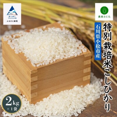 コシヒカリ 2kg 特別栽培米 令和7年産 こしひかり 精米 コメ お米 こめ 小松市 農家ふじた