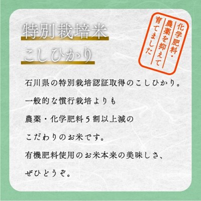コシヒカリ 2kg 特別栽培米 令和7年産 こしひかり 精米 コメ お米 こめ 小松市 農家ふじた