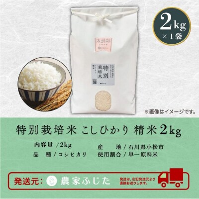 コシヒカリ 2kg 特別栽培米 令和7年産 こしひかり 精米 コメ お米 こめ 小松市 農家ふじた
