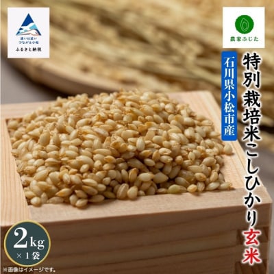 コシヒカリ 2kg 特別栽培米 令和7年産 こしひかり 玄米 コメ お米 こめ 小松市 農家ふじた