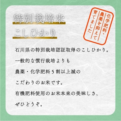 コシヒカリ 2kg 特別栽培米 令和7年産 こしひかり 玄米 コメ お米 こめ 小松市 農家ふじた