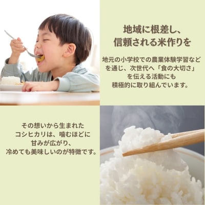 コシヒカリ 玄米 30kg 令和7年産 米 コメ お米 げんまい 石川県産 小松市産 嵐農産