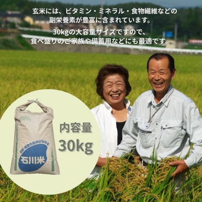 コシヒカリ 玄米 30kg 令和7年産 米 コメ お米 げんまい 石川県産 小松市産 嵐農産