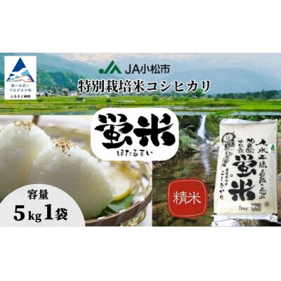 【令和7年産】 コシヒカリ 精米 蛍米 5kg 石川県 小松市 JA小松市