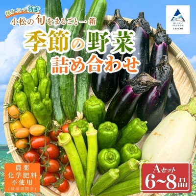 季節の野菜詰め合わせ Aセット 野菜食べ比べ 旬の野菜 野菜セット