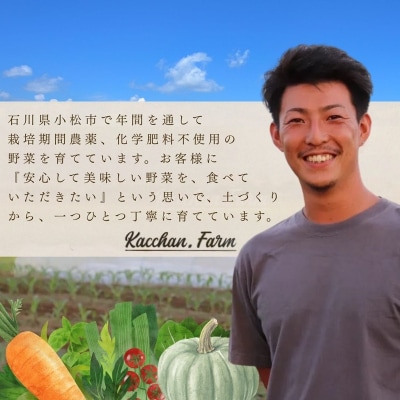 季節の野菜詰め合わせ Aセット 野菜食べ比べ 旬の野菜 野菜セット