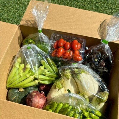 季節の野菜詰め合わせ Aセット 野菜食べ比べ 旬の野菜 野菜セット