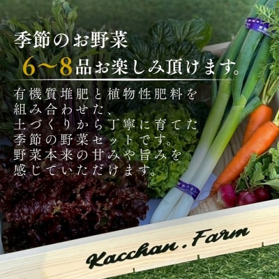 【定期便3ヶ月】季節の野菜詰め合わせ Aセット 野菜食べ比べ 旬の野菜 野菜セット 定期便