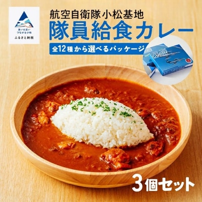 航空自衛隊 小松基地 隊員給食カレー 選べるパッケージ 3個セット 航空機 レトルトカレー