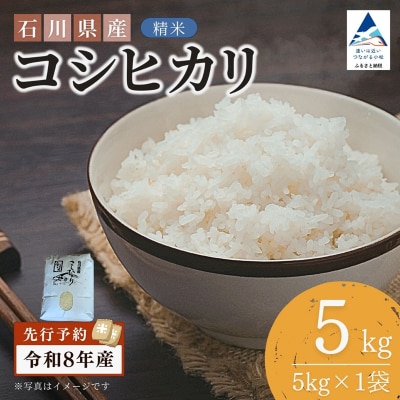 【先行予約】令和8年産 石川県産コシヒカリ 精米 5kg(5kg×1袋) 白米 こしひかり