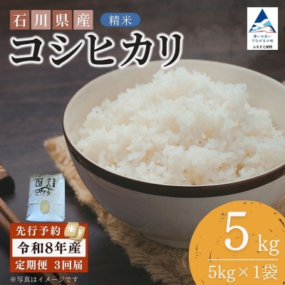【3ヶ月定期便】令和8年産 石川県産コシヒカリ 精米 計5kg(5kg×1袋)×3回便